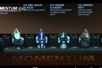 Egypt’s Investment Minister says private sector key to renewable energy goals