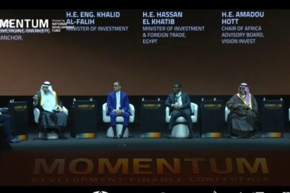 Egypt’s Investment Minister says private sector key to renewable energy goals