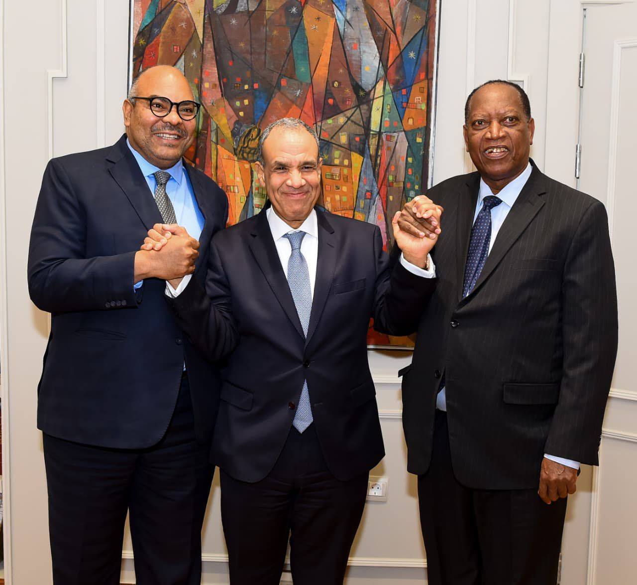 Egyptian-built dam in Tanzania is model for Nile cooperation, says Foreign Minister