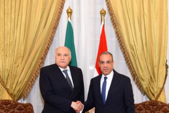 Foreign troop withdrawal from Libya, Sudan ceasefire urged by Egypt and Algeria