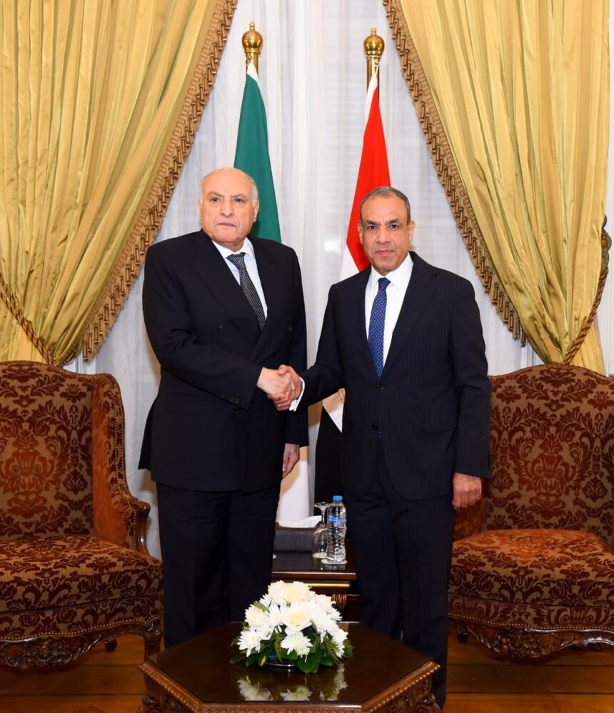 Foreign troop withdrawal from Libya, Sudan ceasefire urged by Egypt and Algeria