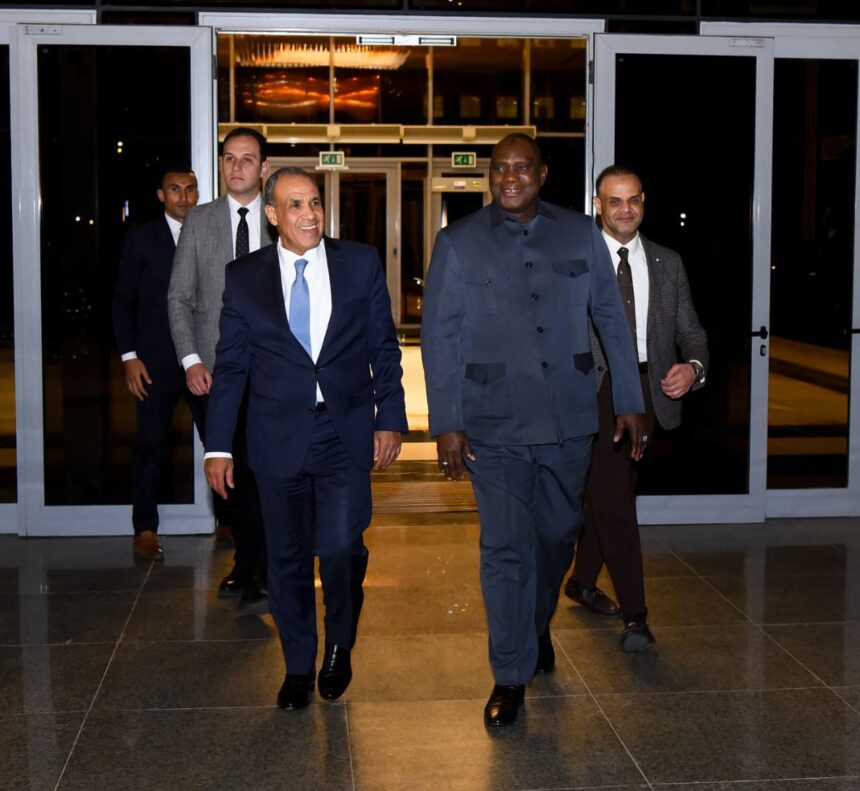 Egypt's Abdelatty proposes hospital project, infrastructure support in Gambia