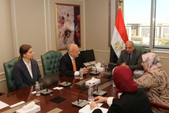 Egypt, Sweden’s Linxon discuss renewable energy development