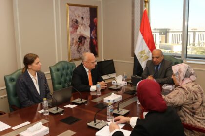 Egypt, Sweden’s Linxon discuss renewable energy development