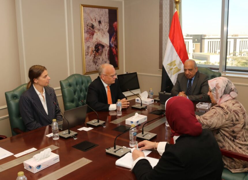 Egypt, Sweden’s Linxon discuss renewable energy development