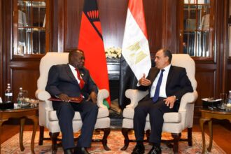 Egypt proposes direct Cairo-Lilongwe flight and airport rehabilitation in Malawi talks