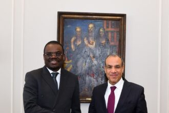 Egypt FM pledges support for African health and pharmaceutical security