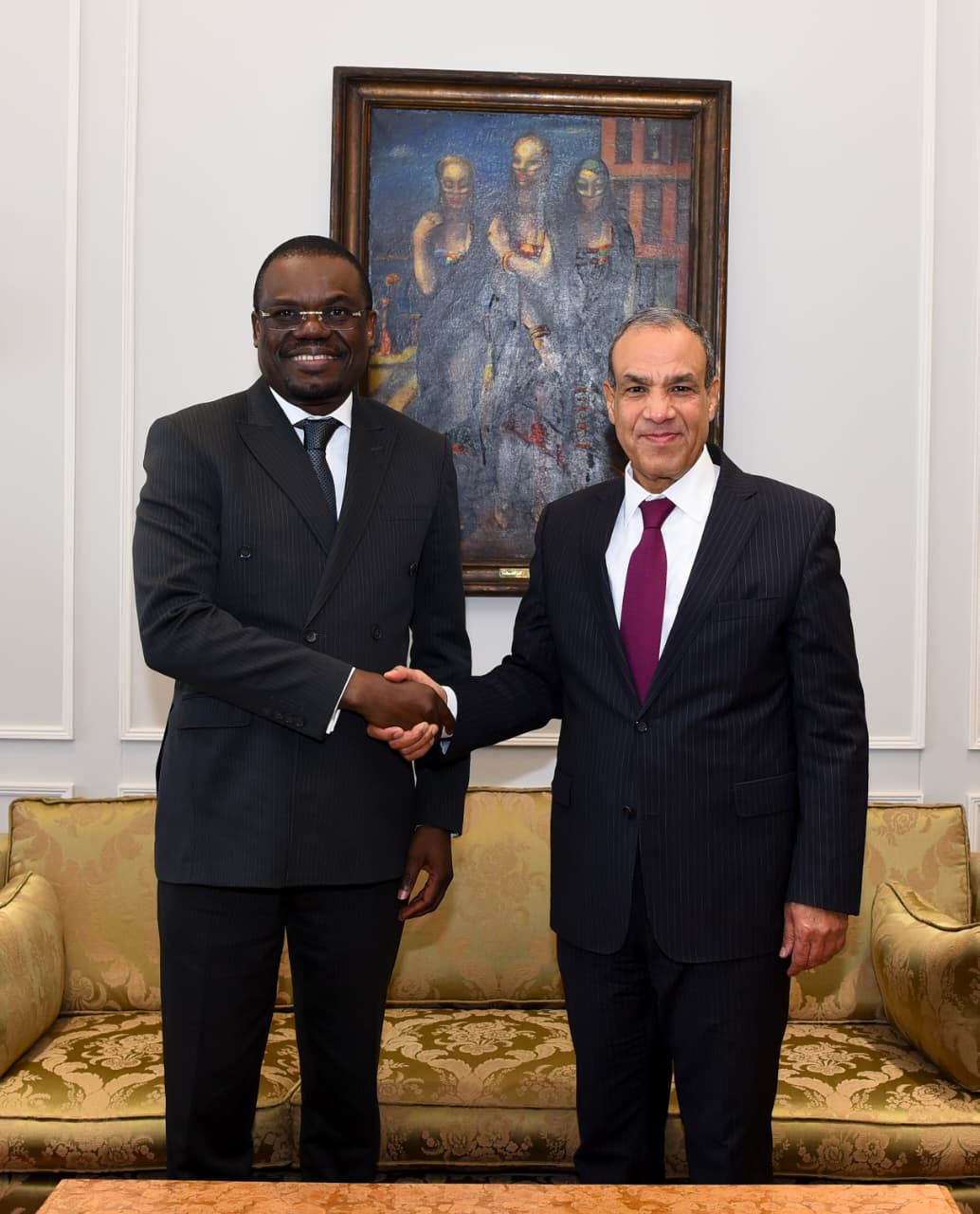 Egypt FM pledges support for African health and pharmaceutical security
