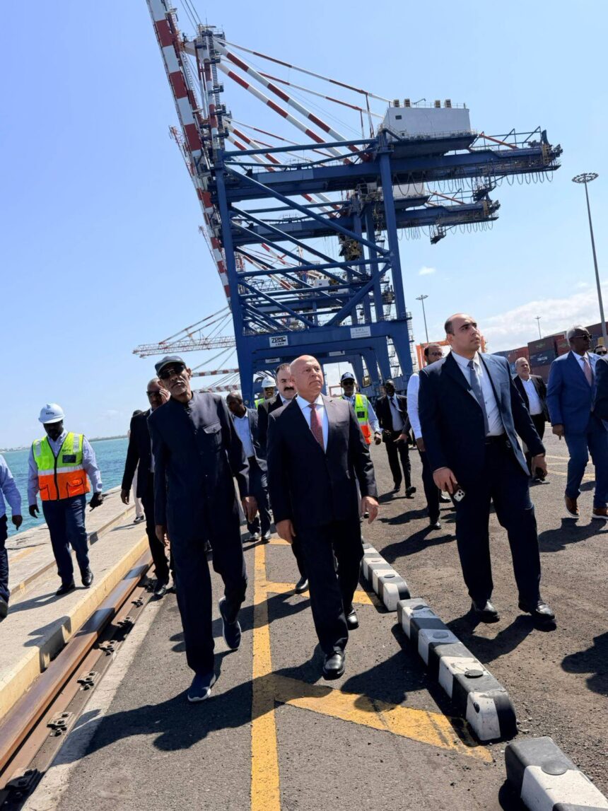 Egypt, Djibouti sign key agreements to boost cooperation in ports, logistics