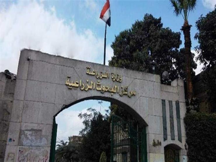 Egypt’s Agricultural Research Centre ranks second in 2025 regional Scimago table