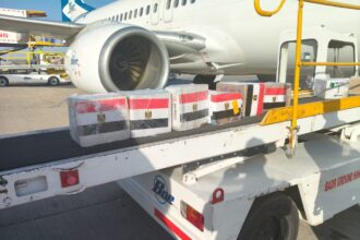 Egyptian medical convoy arrives in Sudan to support healthcare sector amid facility damage