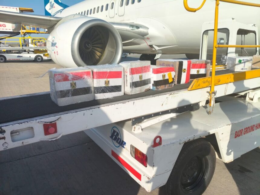 Egyptian medical convoy arrives in Sudan to support healthcare sector amid facility damage
