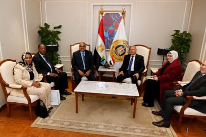 Egypt, Tanzania explore joint strategic projects in transport, industry