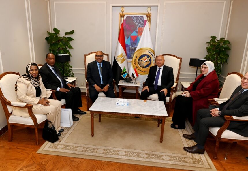 Egypt, Tanzania explore joint strategic projects in transport, industry