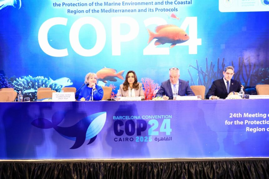 Egypt opens COP24 Mediterranean, urges faster transition to sustainable blue economy