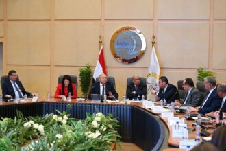 Egypt forms committee to address customs disparities, strengthen local industry