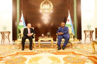 Egypt, Djibouti explore expanded infrastructure, development cooperation