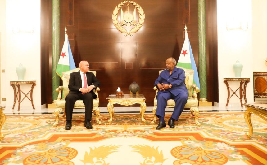 Egypt, Djibouti explore expanded infrastructure, development cooperation