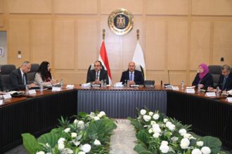 Egypt moves to deepen local manufacturing, cut textile imports