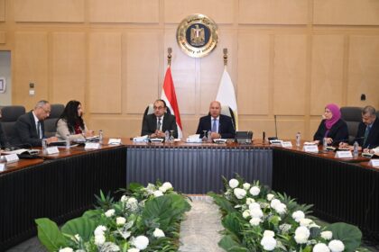 Egypt moves to deepen local manufacturing, cut textile imports