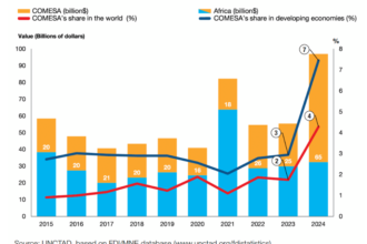 Ras El-Hekma anchors FDI surge as COMESA’s global investment share doubles