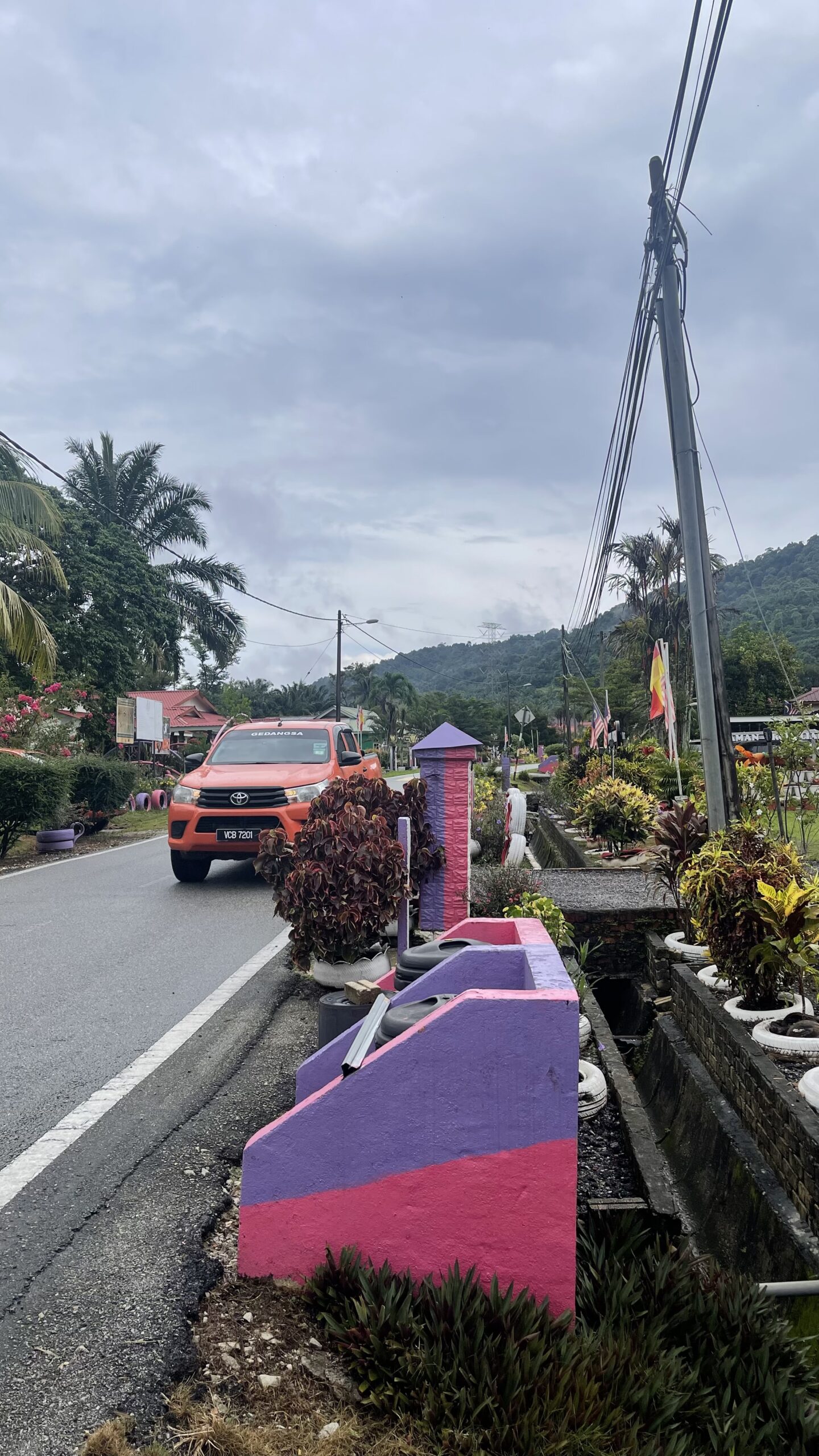 Beyond the Boycott: Inside the Struggle to Rewrite Malaysia’s Palm Oil Narrative