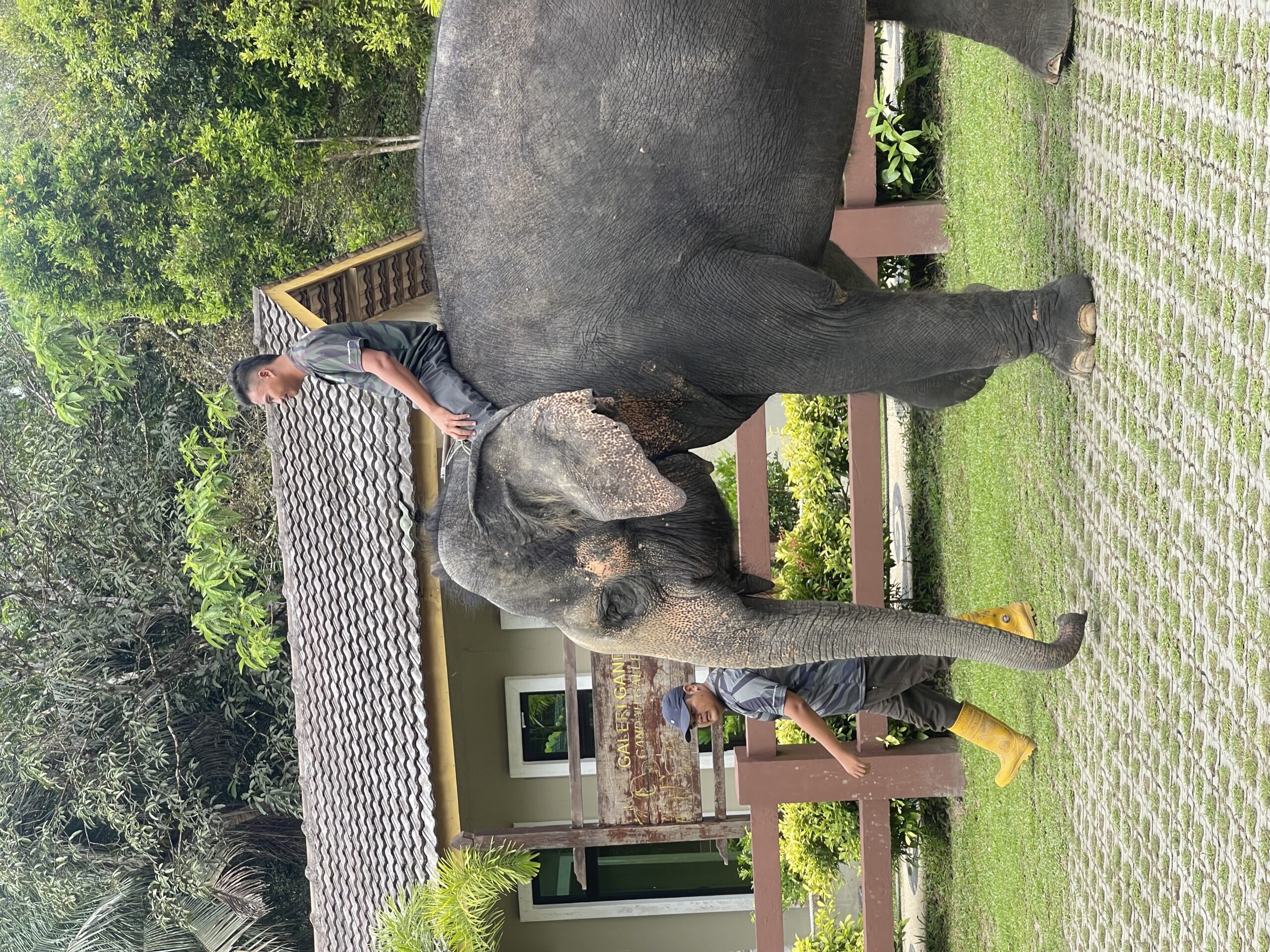 Beyond the Boycott: Inside the Struggle to Rewrite Malaysia’s Palm Oil Narrative