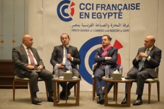 Egypt targets expansion in productive, export-oriented sectors: Finance Minister