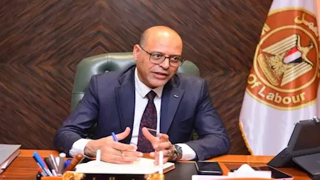 Egypt allocates EGP 3.1m to support irregular workers: Labour Minister