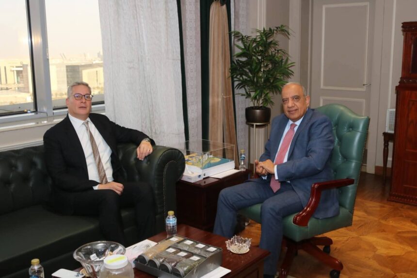 Electricity, petroleum ministers review preparations to meet higher summer energy demand