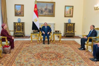 Al-Sisi pledges full support for UN desertification chief in Cairo meeting
