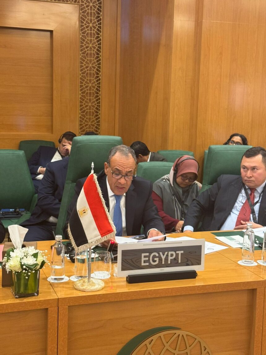 Cairo links Israel's Somaliland recognition to "illegal schemes" for Palestinian displacement