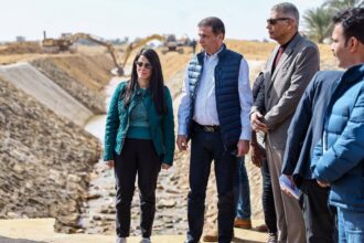 Egypt orders expedited irrigation works, livestock grants for Aswan farmers
