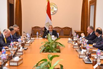 Egypt Foreign Minister urges private sector alliances to expand African trade footprint