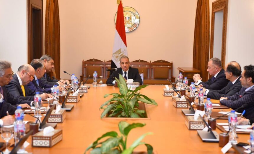 Egypt Foreign Minister urges private sector alliances to expand African trade footprint