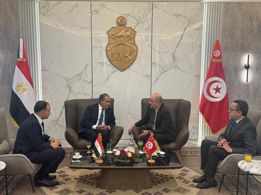 Egypt, Tunisia, Algeria to discuss Libyan political deadlock and foreign force withdrawal