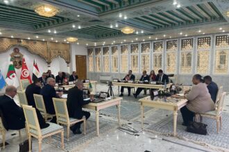 Egypt, Tunisia, Algeria call for immediate withdrawal of all foreign forces from Libya