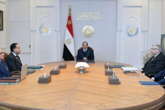 Al-Sisi reviews plan to localise prosthetics industry, urges fast-tracking of industrial complex