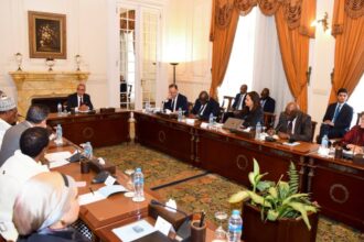 Egypt's FM hosts African Union representatives to discuss trade corridors and regional stability