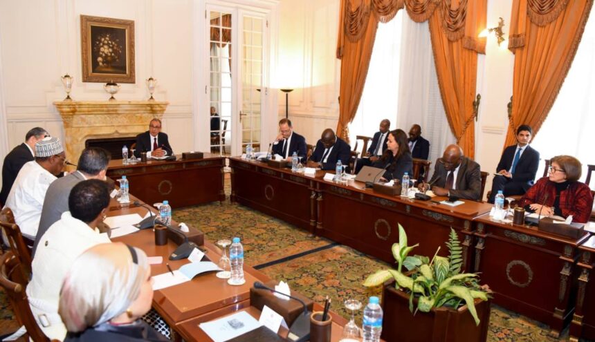 Egypt's FM hosts African Union representatives to discuss trade corridors and regional stability