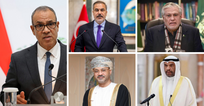 Abdelatty urges calm in Yemen in high-level calls with Turkey, Pakistan, Gulf states