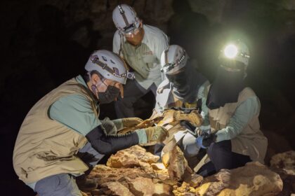 Mummified cheetahs reveal forgotten history of Arabian Peninsula