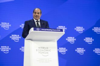 Egypt to fast-track state divestment and private sector role, Al-Sisi tells Davos