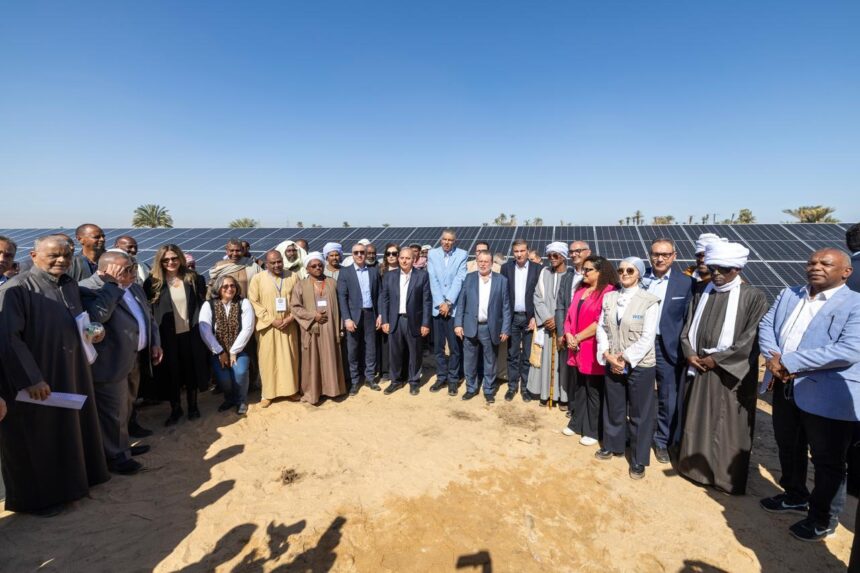 CBE, Agriculture Ministry to expand Aswan smallholder project with EGP 120m phase