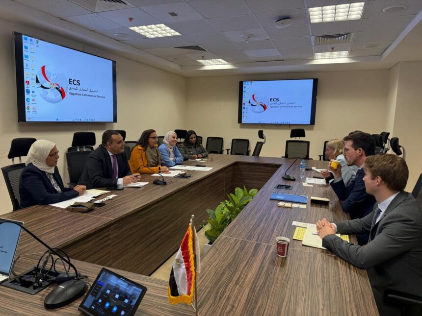 ECS reviews preparations for seventh Egyptian-German Joint Economic Committee