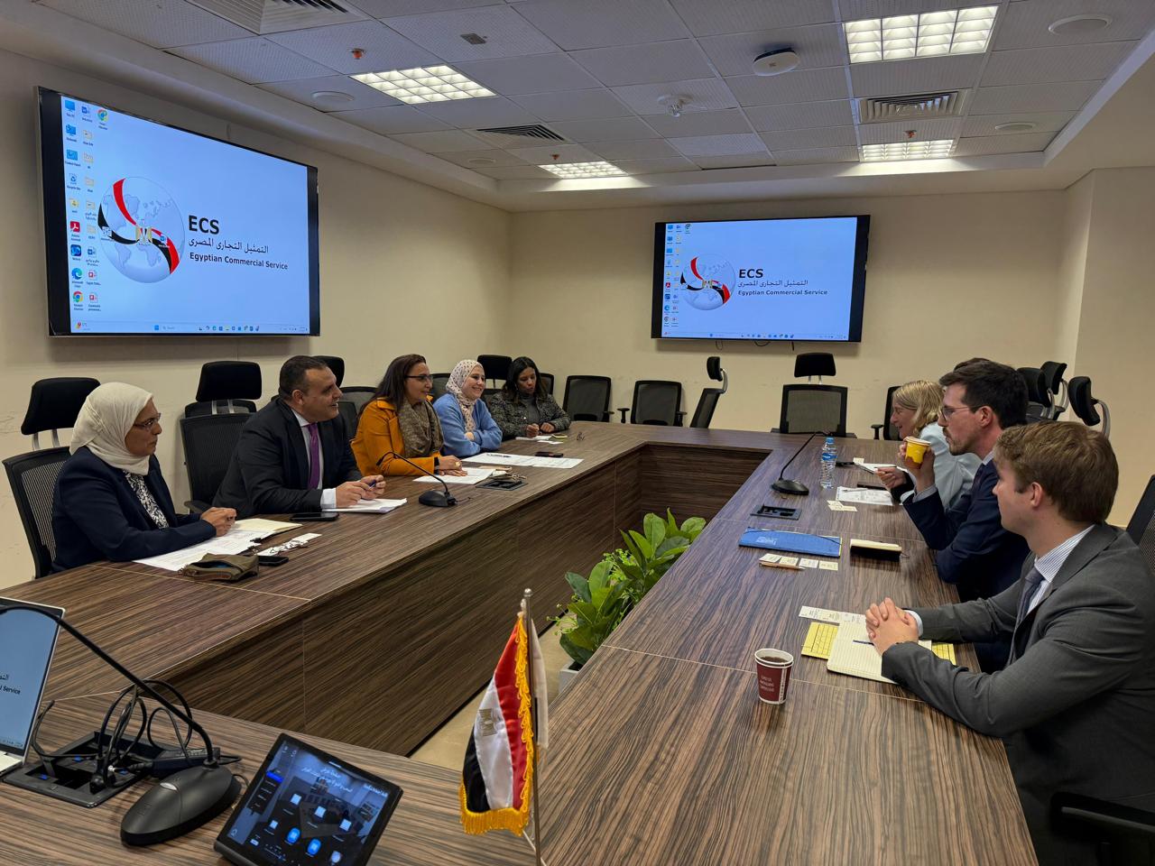ECS reviews preparations for seventh Egyptian-German Joint Economic Committee