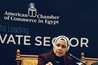 Rasha Abdel Aal, Head of the Egyptian Tax Authority (ETA)