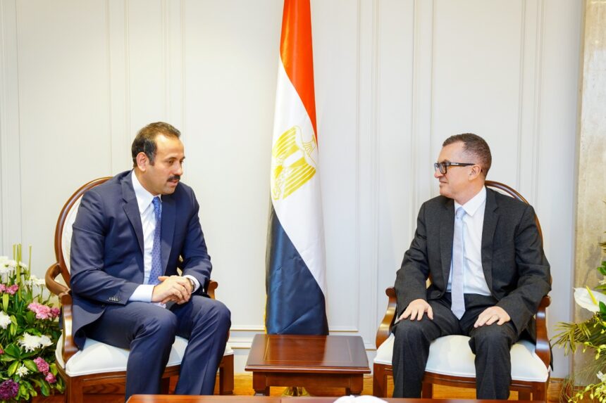 Planning Ministry reviews national development projects with Future of Egypt Authority