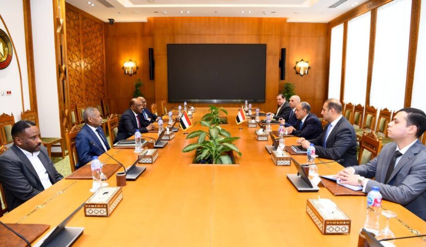 Egypt condemns Sudan "atrocities" and rejects unilateral Nile water actions during Cairo talks