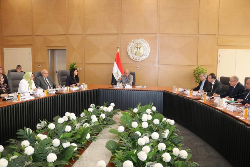 Egypt invests EGP 26.5bn to upgrade power transmission network in FY2025